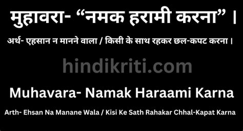 what does harami mean in hindi|हरामी शब्द के अर्थ .